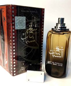 شیخ الشباب